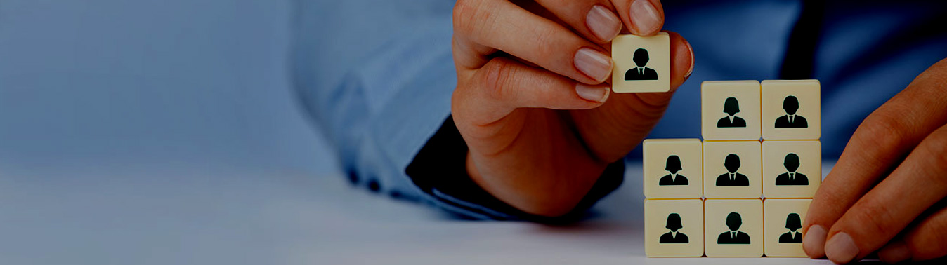 HR And Payroll System